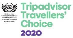 TripAdvisor award badge